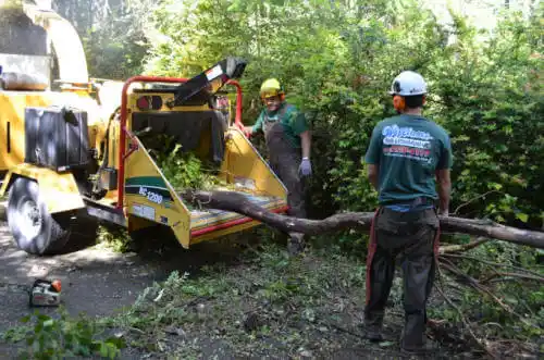 tree services Point Baker